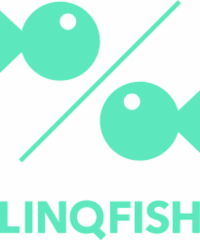 Logo der Firma LinQfish K+W GmbH